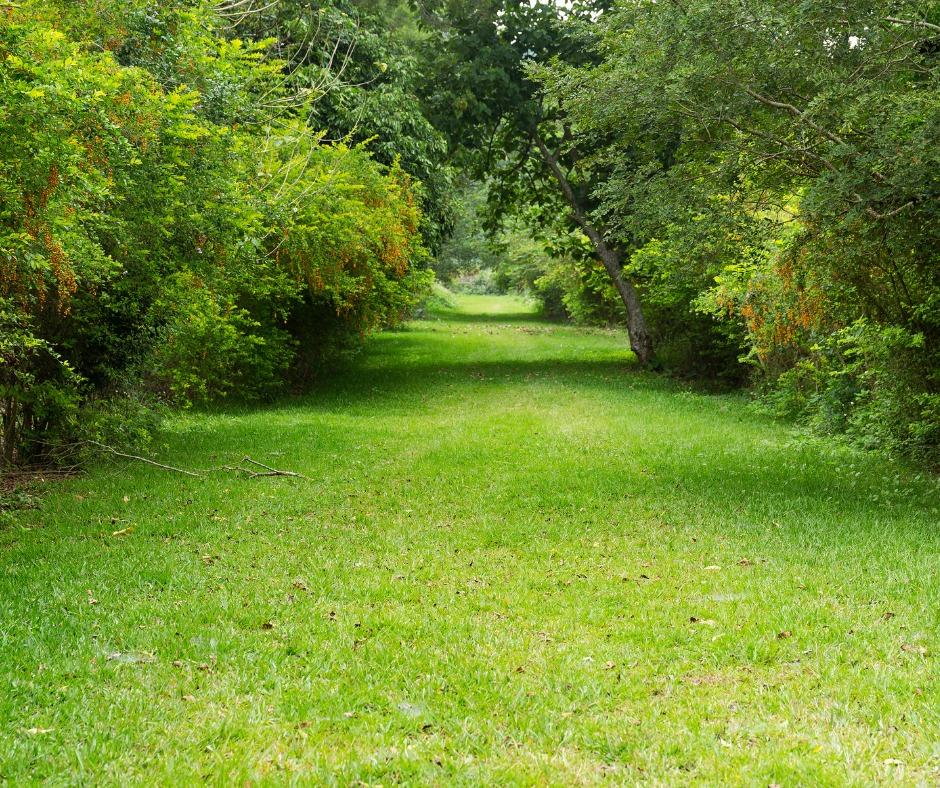 Terreno, 1000 m² - Foto 21
