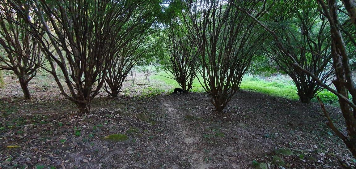 Terreno, 360 m² - Foto 37