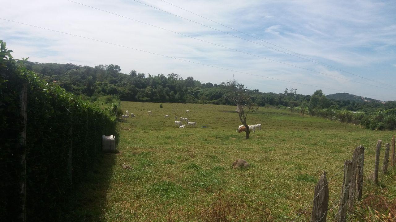 Terreno, 10000 m² - Foto 9