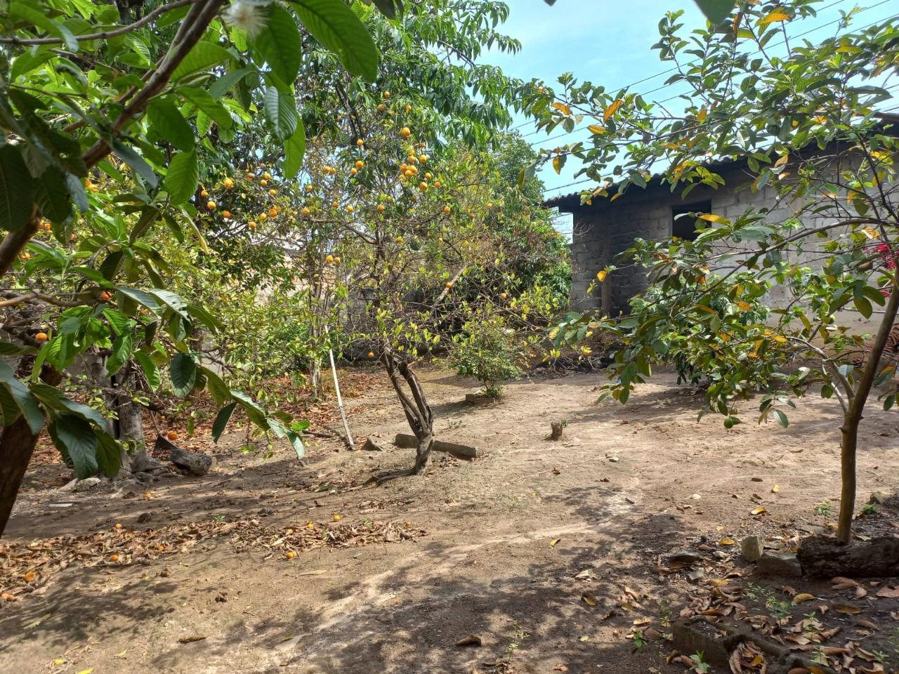 Terreno, 360 m² - Foto 5