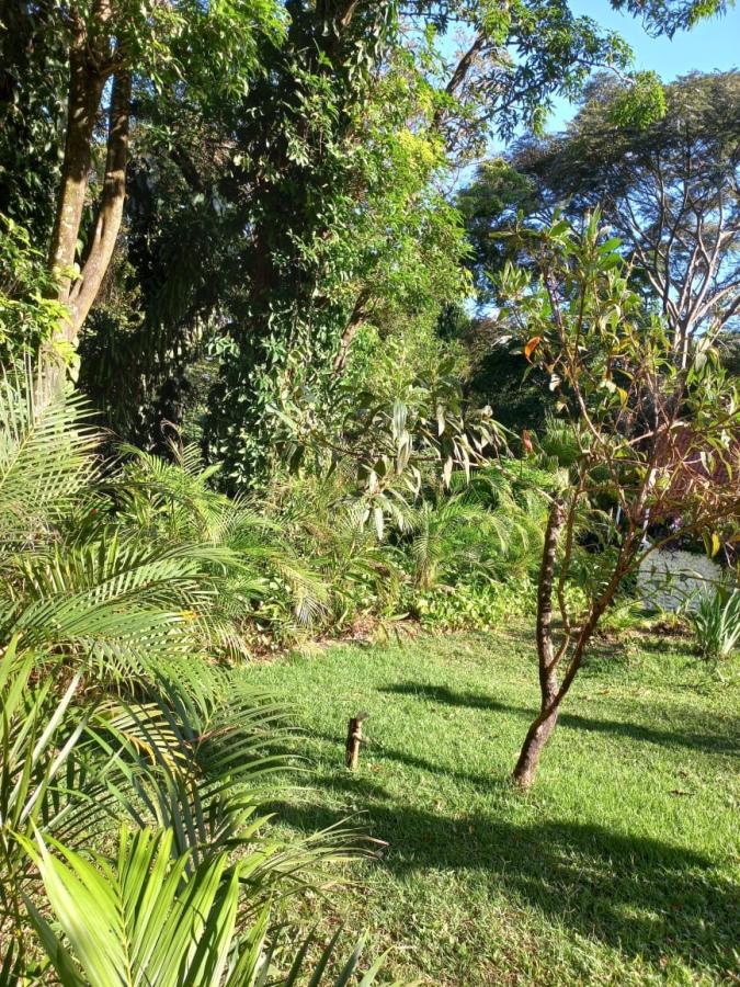 Sítio, 12 quartos, 2 hectares - Foto 10
