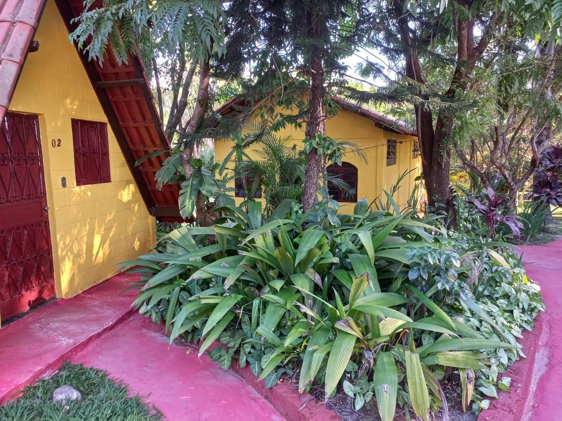 Sítio, 12 quartos, 2 hectares - Foto 12