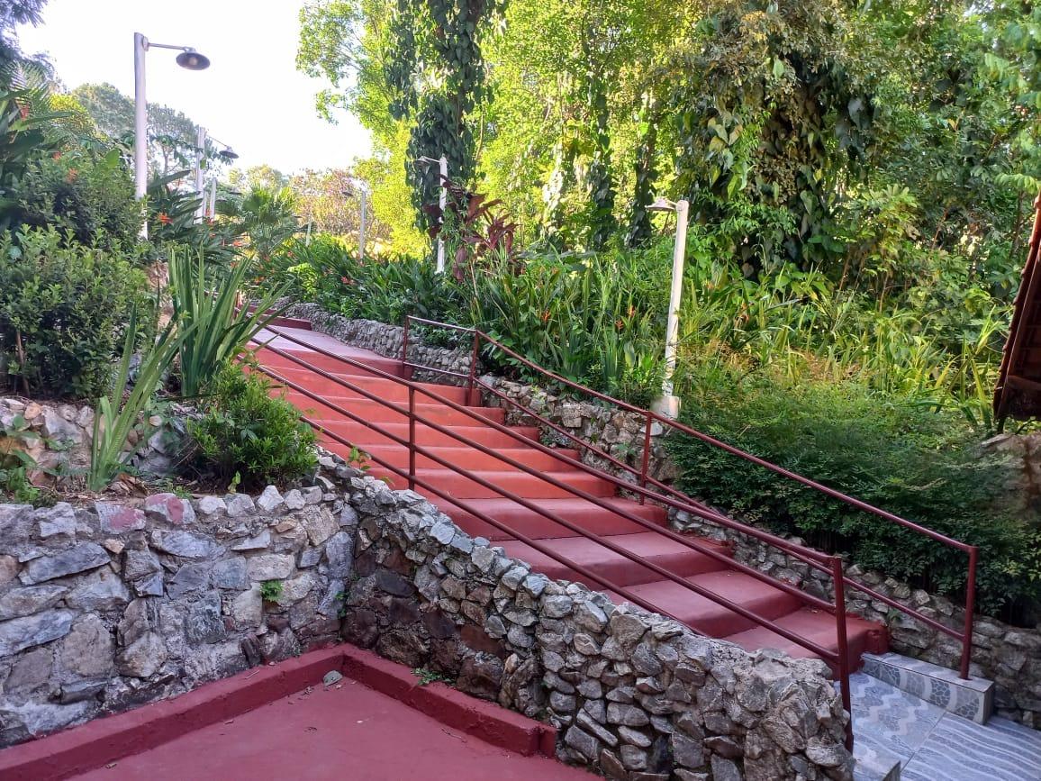 Sítio, 12 quartos, 2 hectares - Foto 15