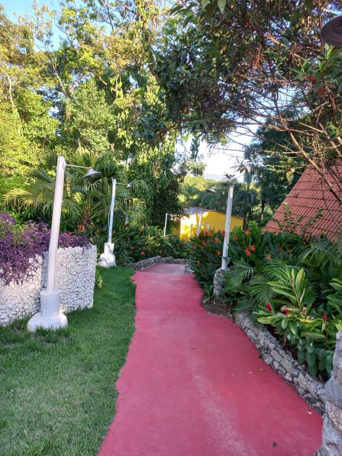 Sítio, 12 quartos, 2 hectares - Foto 20