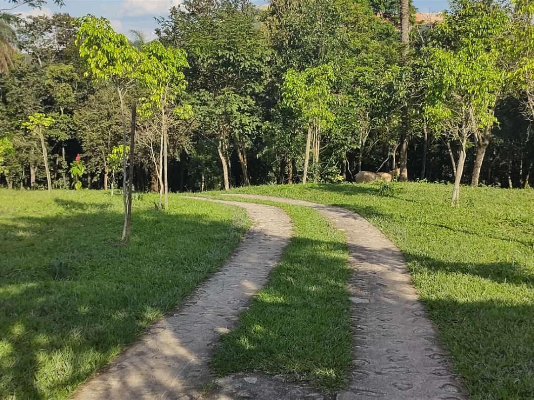 Sítio, 5 quartos, 2 hectares - Foto 11