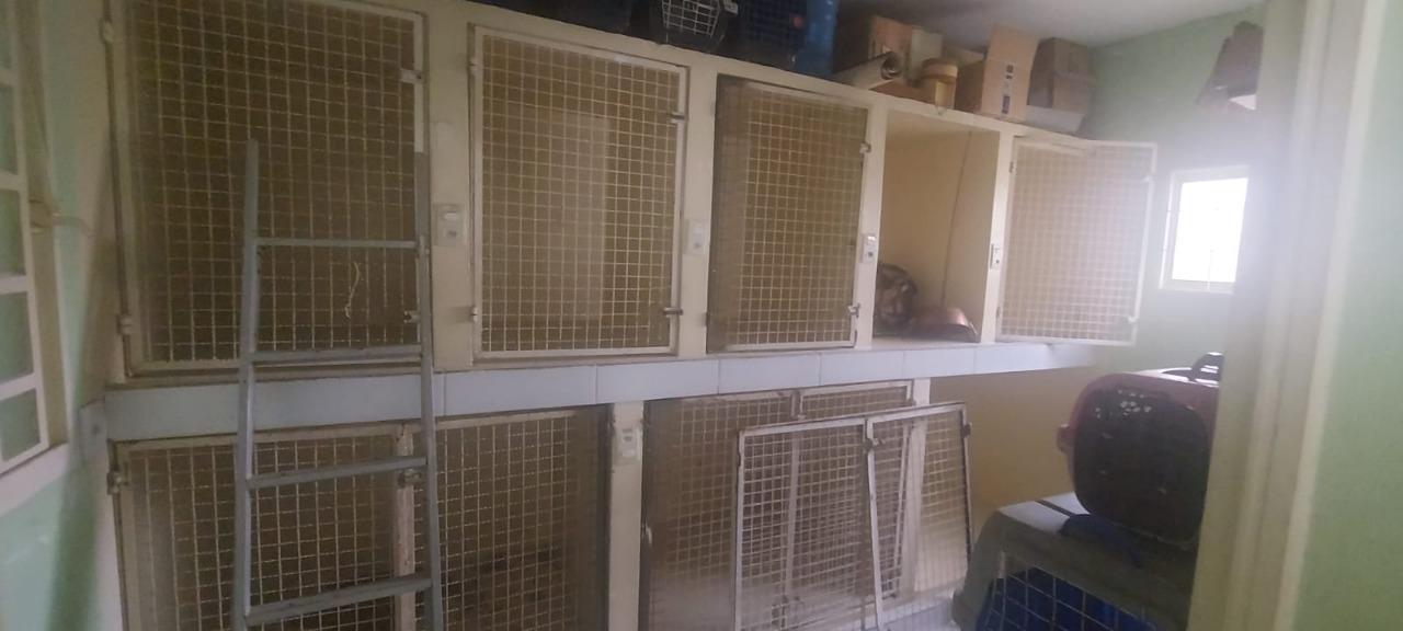 Casa, 3 quartos, 550 m² - Foto 10