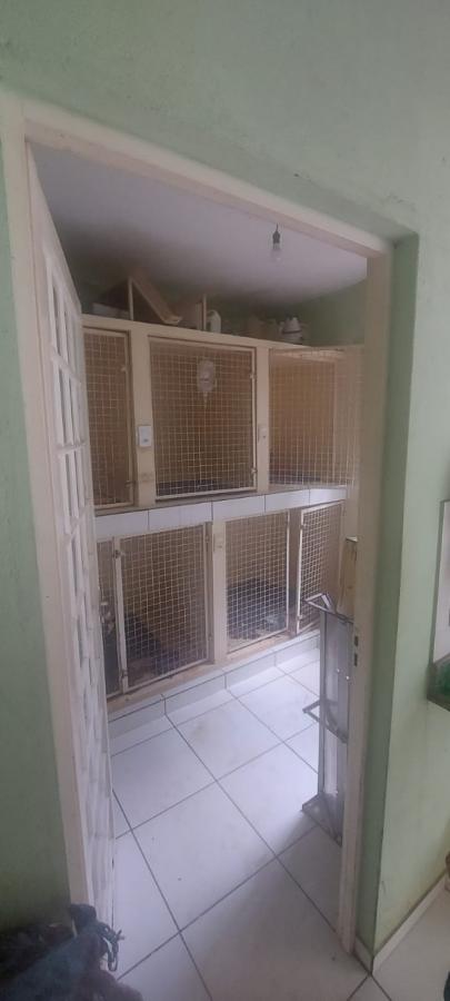 Casa, 3 quartos, 550 m² - Foto 12