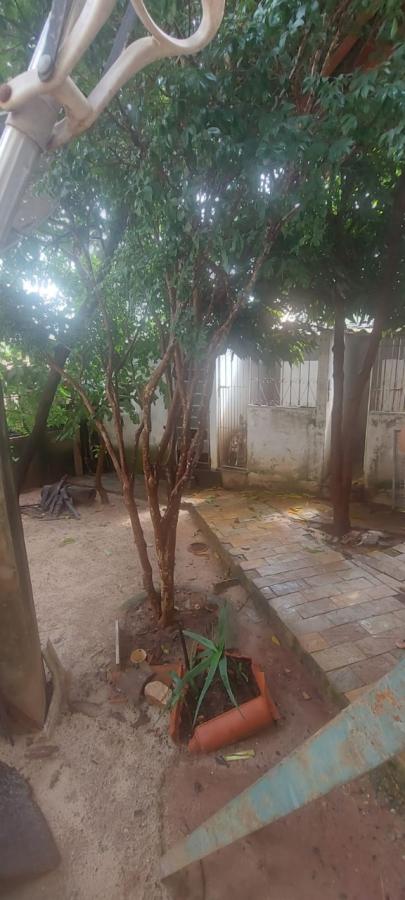 Casa, 3 quartos, 550 m² - Foto 13
