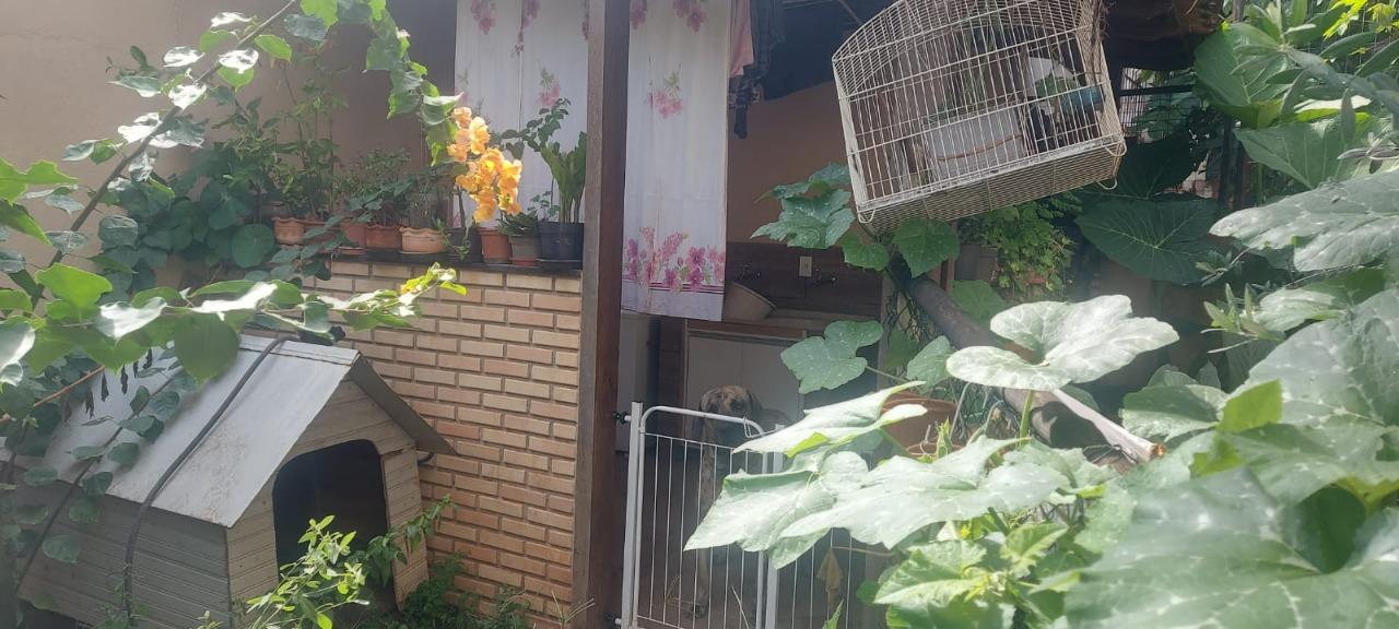 Casa, 3 quartos, 550 m² - Foto 45