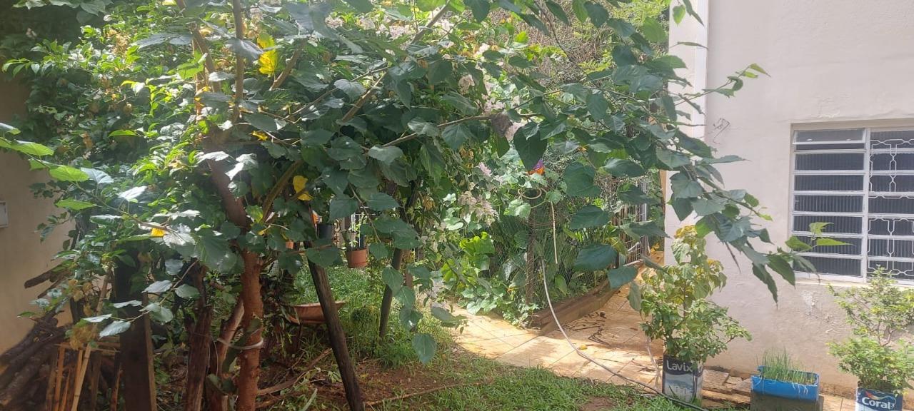 Casa, 3 quartos, 550 m² - Foto 47