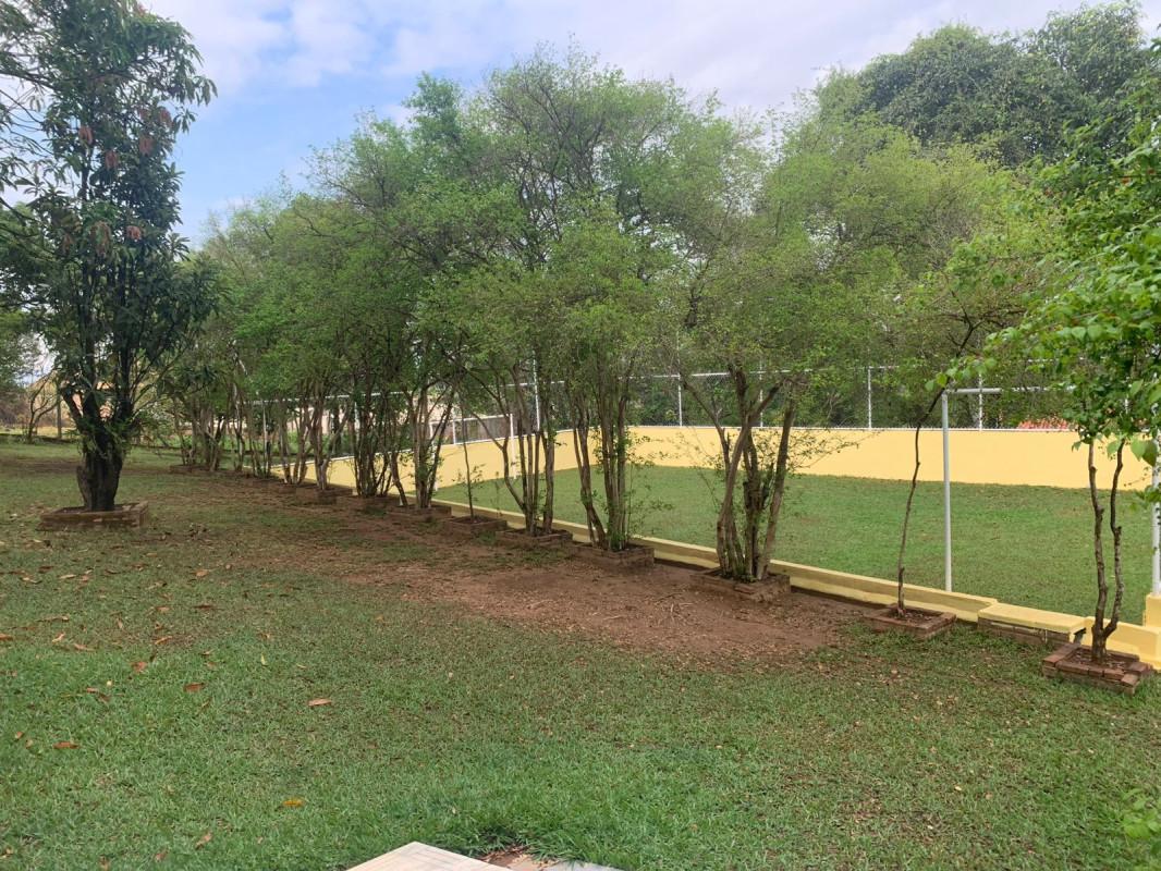 Chácara, 4 quartos, 3800 m² - Foto 9