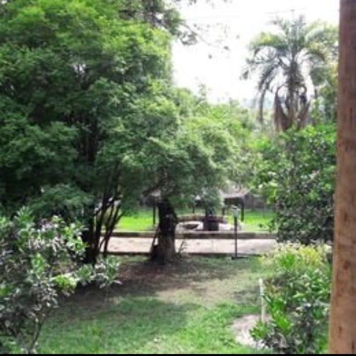 Sítio, 4 quartos, 1890 m² - Foto 8