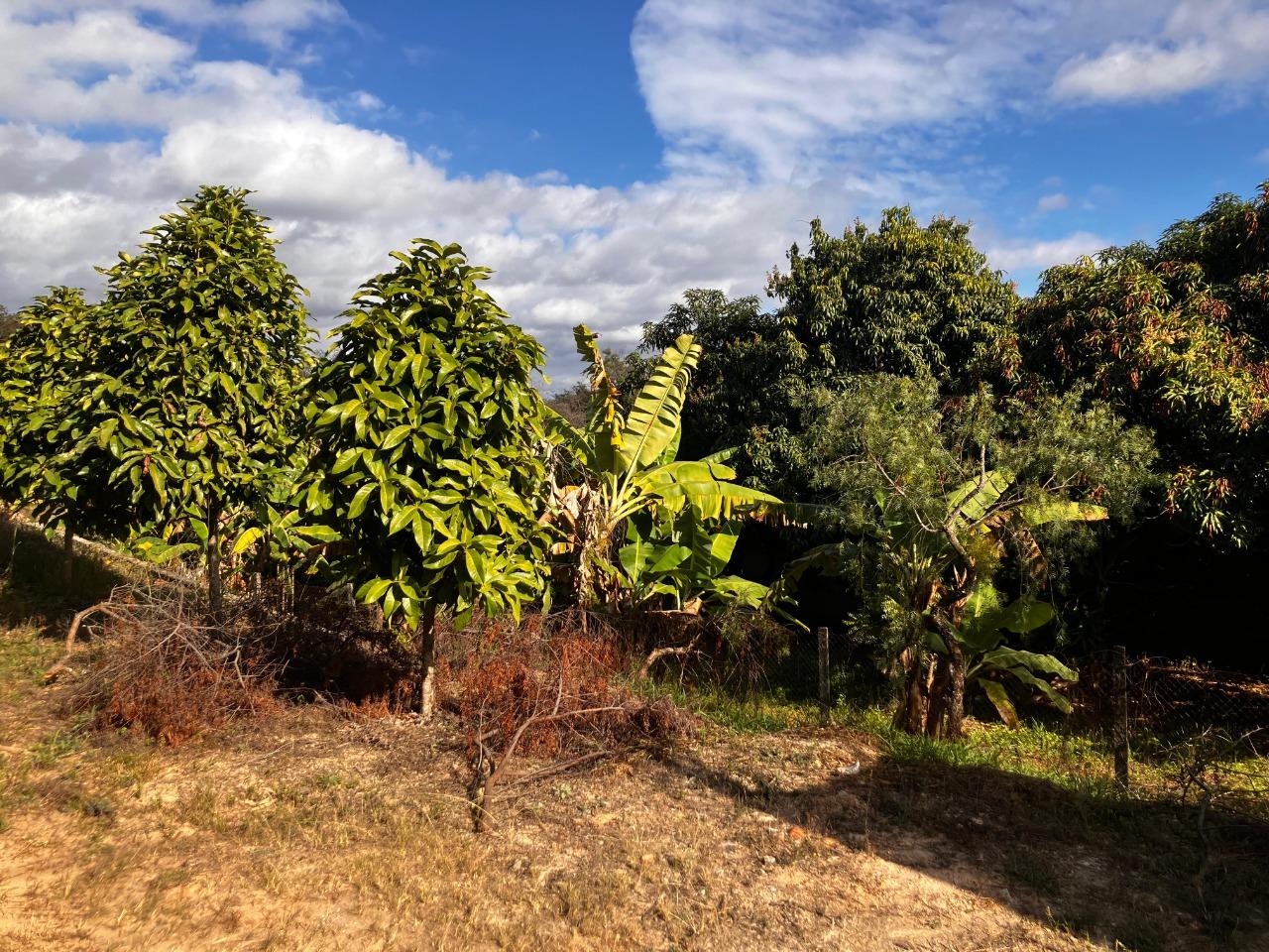 Chácara, 3 quartos, 5000 m² - Foto 35