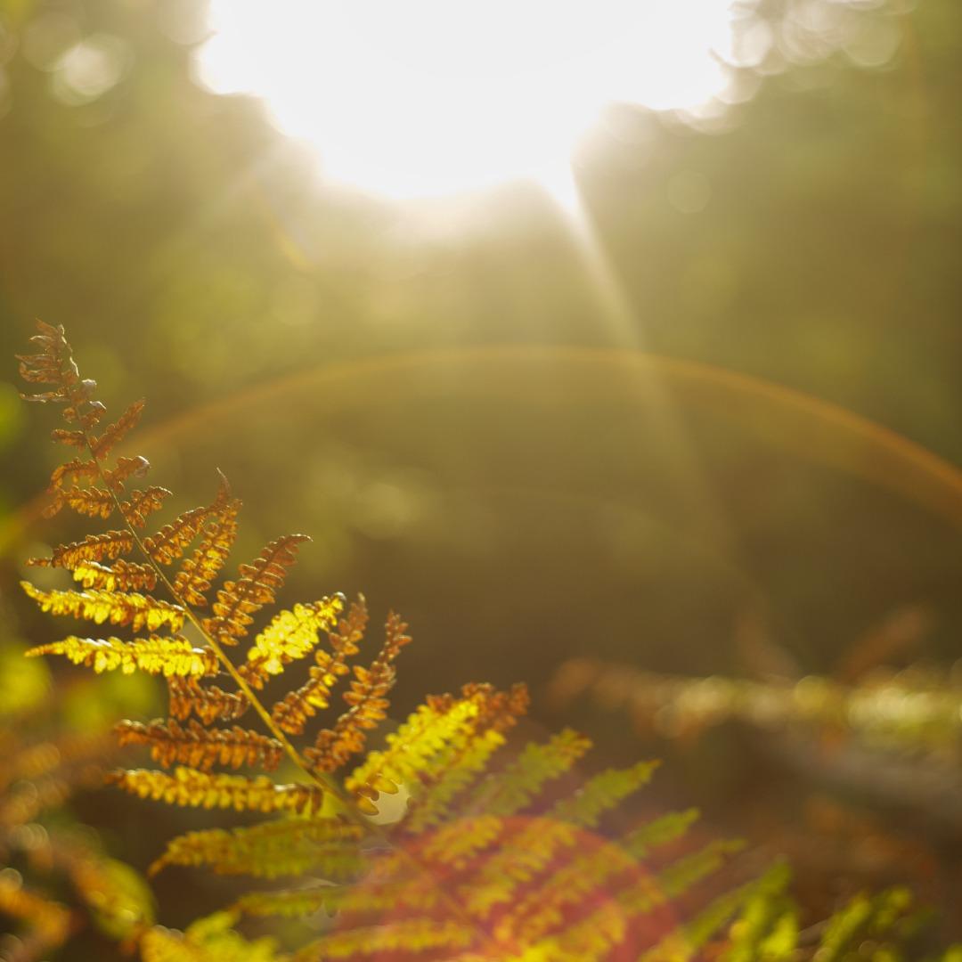 Terreno, 1615 m² - Foto 7