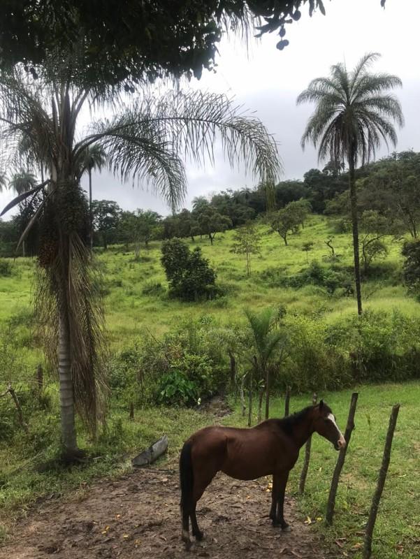 Loteamento e Condomínio, 25 hectares - Foto 10