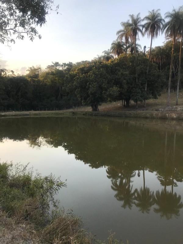 Loteamento e Condomínio, 25 hectares - Foto 12