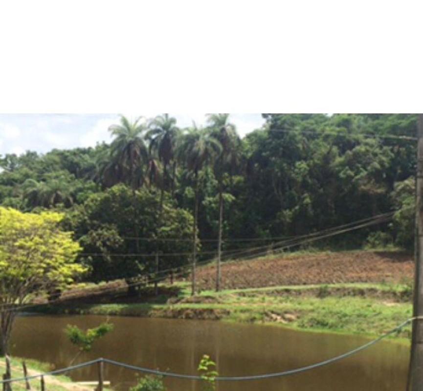 Loteamento e Condomínio, 25 hectares - Foto 14