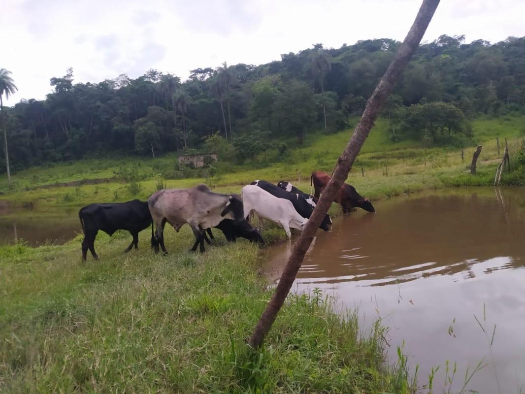Loteamento e Condomínio, 25 hectares - Foto 17