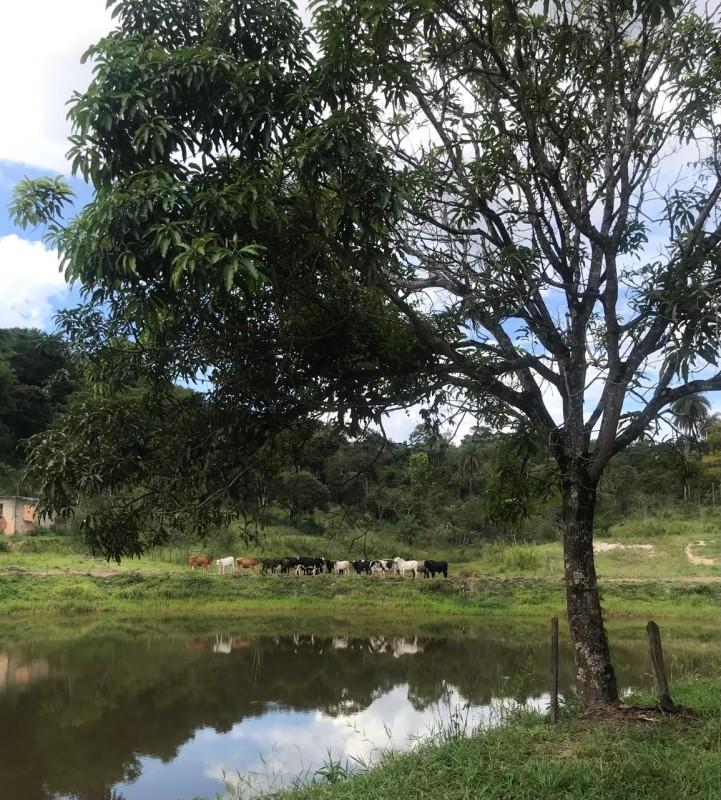 Loteamento e Condomínio, 25 hectares - Foto 1