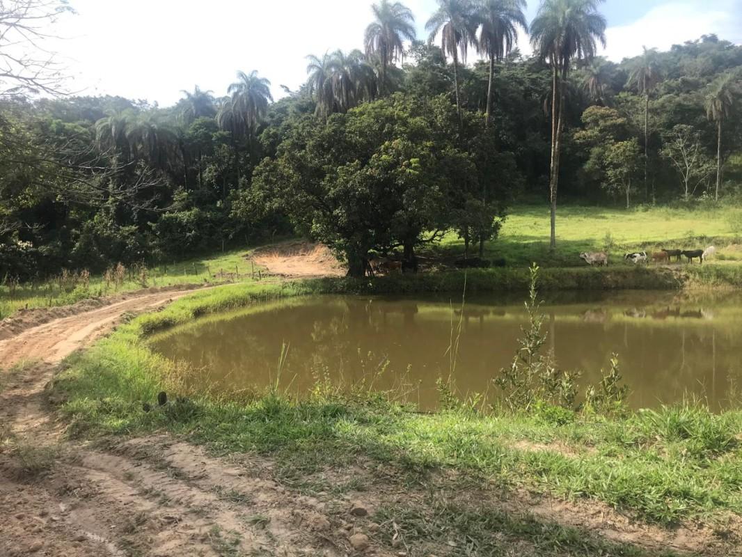 Loteamento e Condomínio, 25 hectares - Foto 18