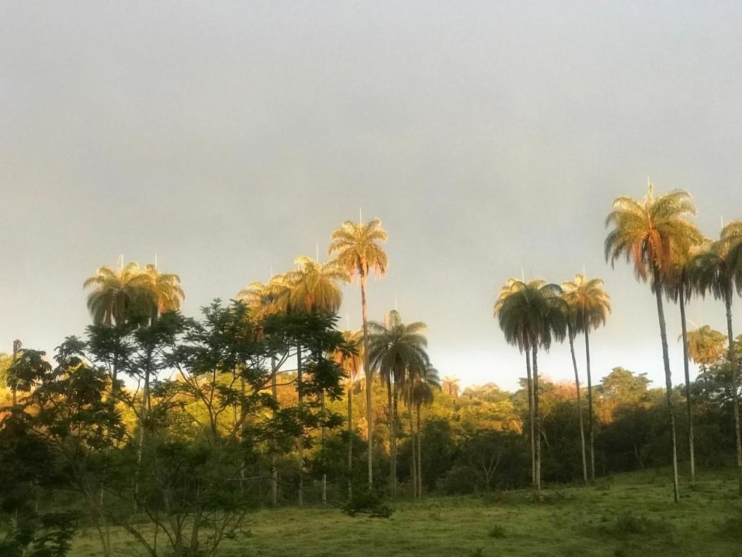 Loteamento e Condomínio, 25 hectares - Foto 19
