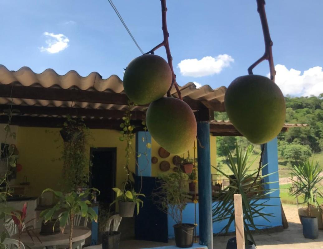 Loteamento e Condomínio, 25 hectares - Foto 2