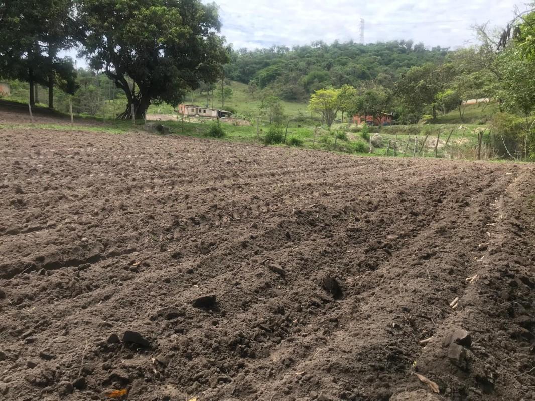 Loteamento e Condomínio, 25 hectares - Foto 4