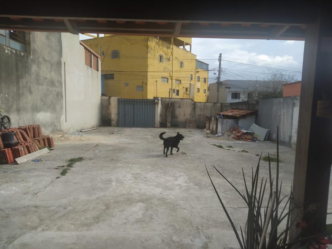 Casa, 3 quartos, 130 m² - Foto 29