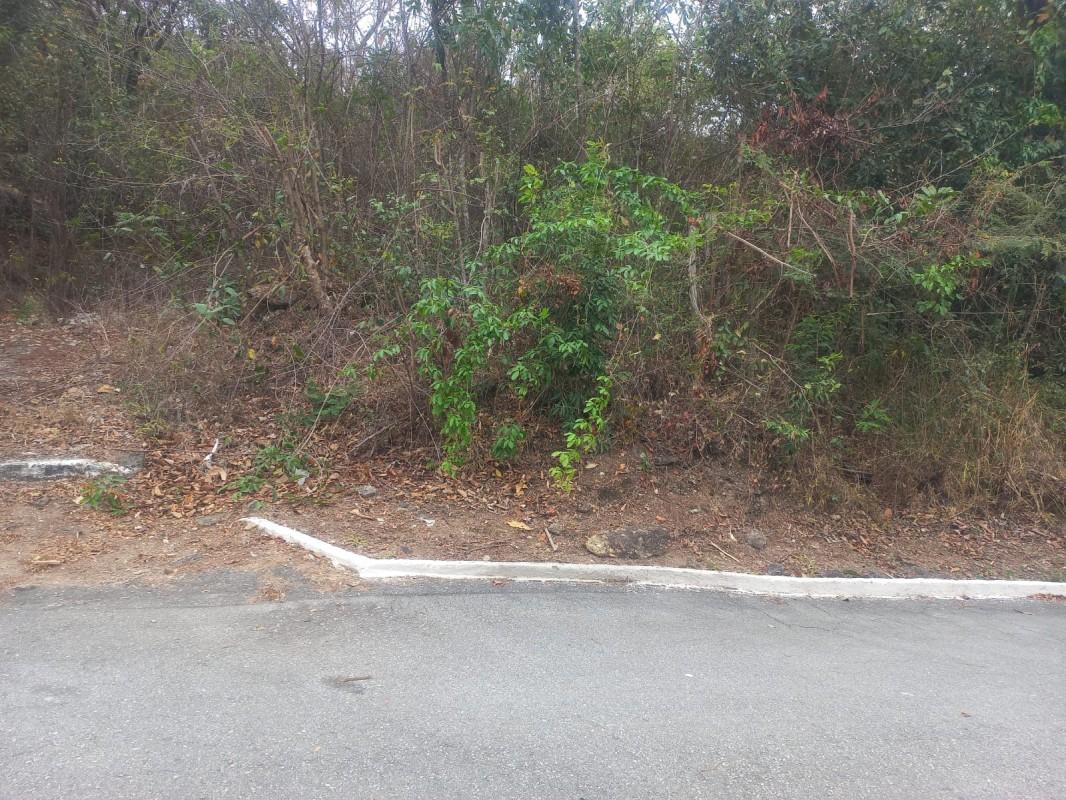 Terreno, 2800 m² - Foto 6