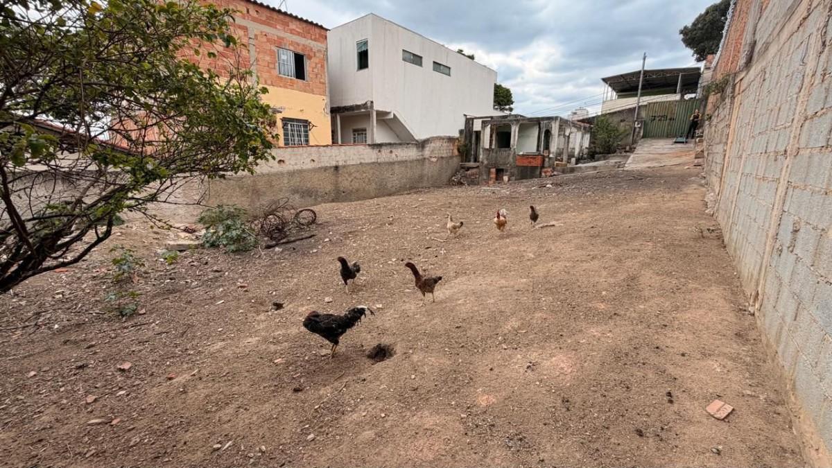 Terreno, 360 m² - Foto 1