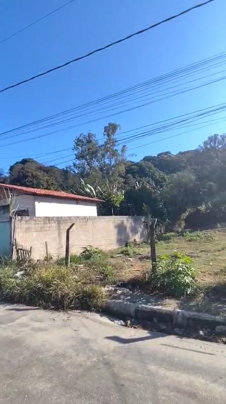 Chácara, 2 quartos, 1234 m² - Foto 7