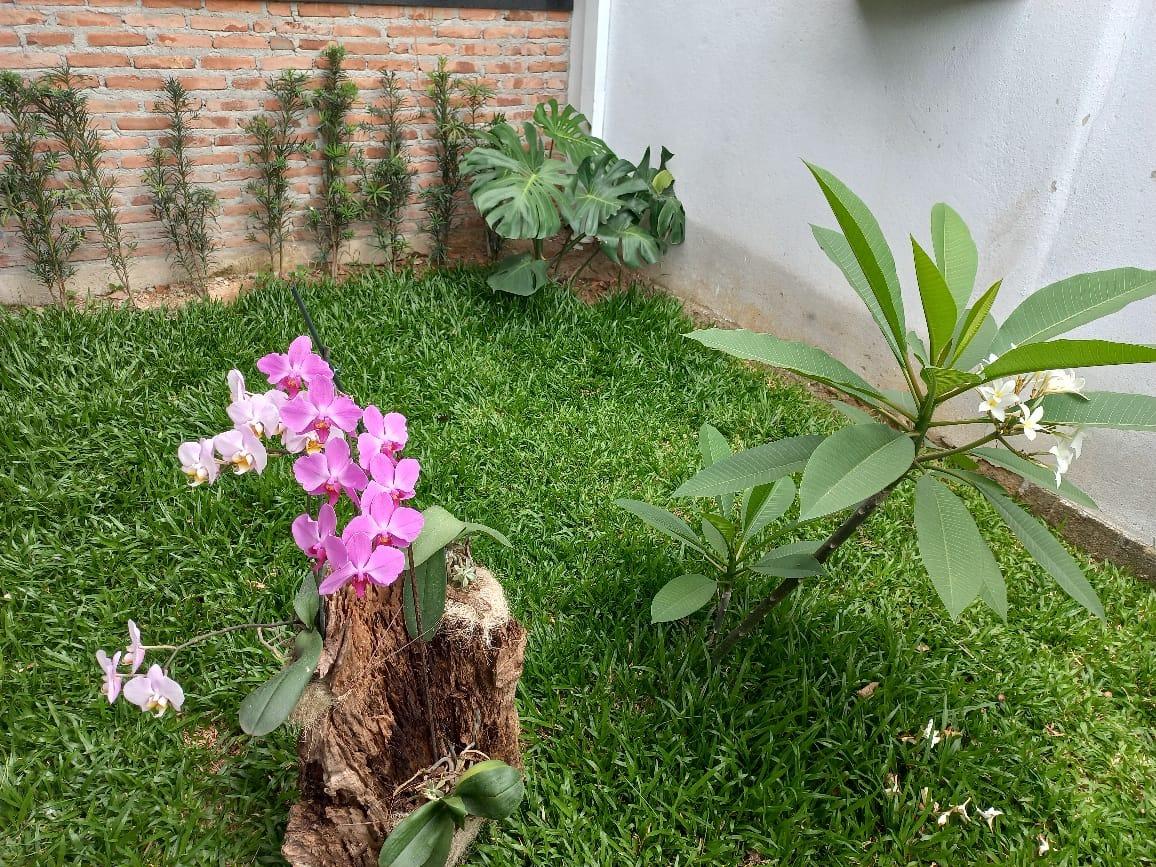 Casa, 3 quartos, 200 m² - Foto 12