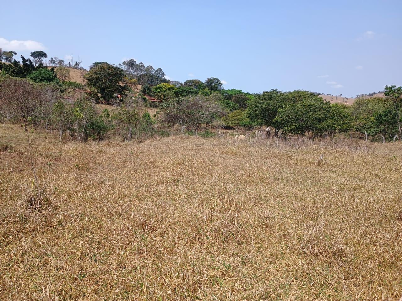 Fazenda, 42 hectares - Foto 10