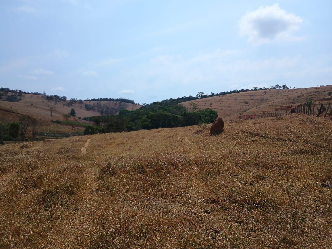 Fazenda, 42 hectares - Foto 13