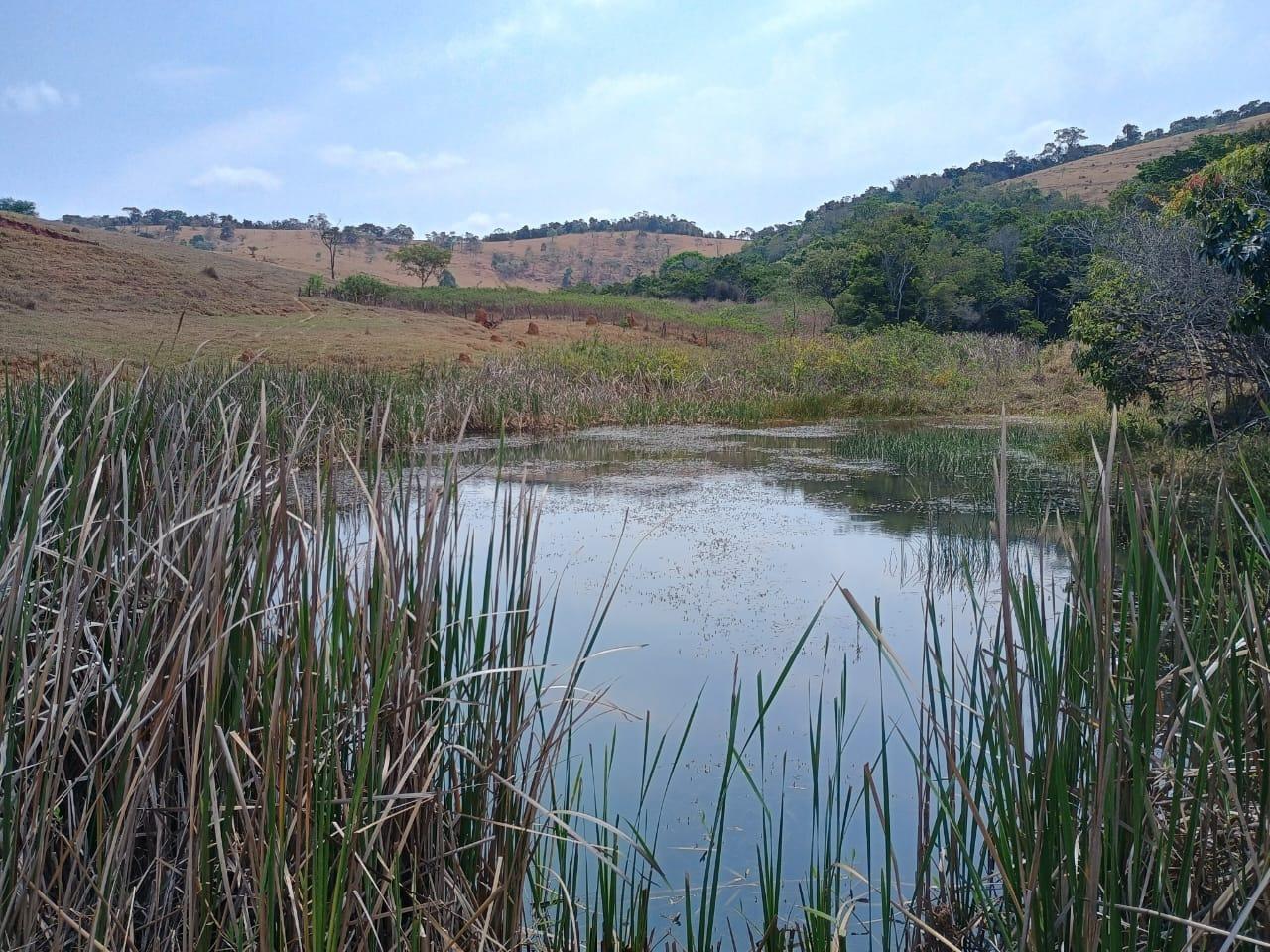 Fazenda, 42 hectares - Foto 2