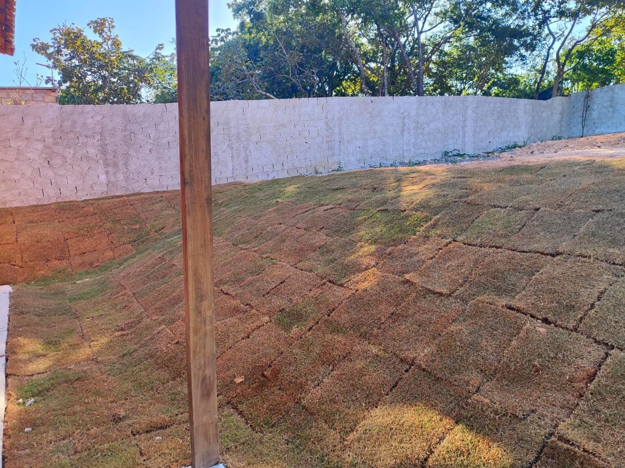 Fazenda, 1000 m² - Foto 7