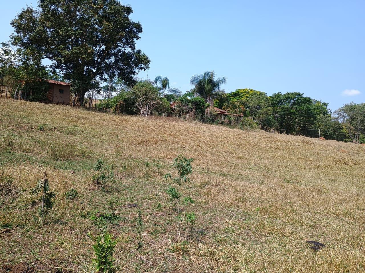 Fazenda, 42 hectares - Foto 9