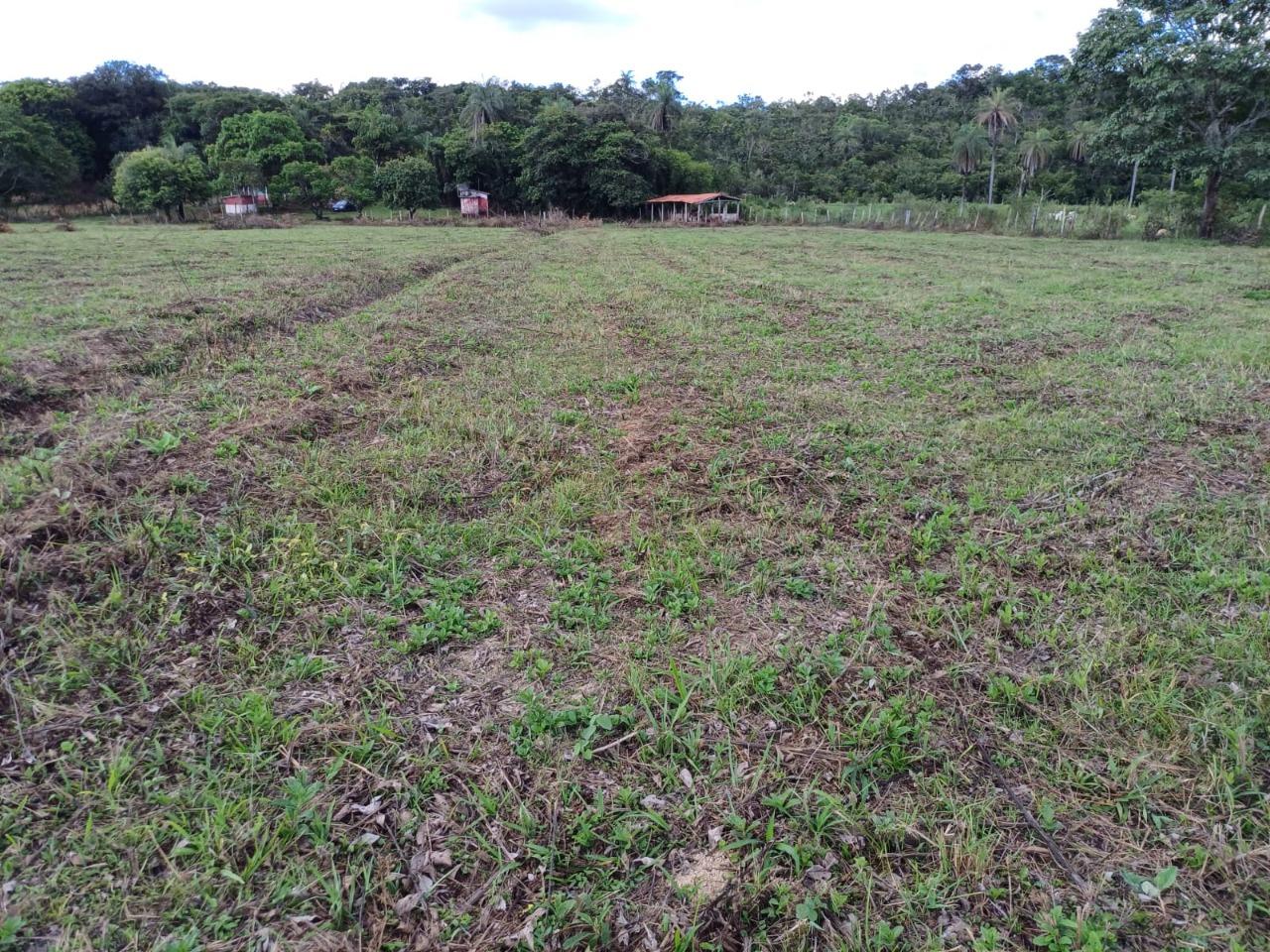 Fazenda, 2 hectares - Foto 10