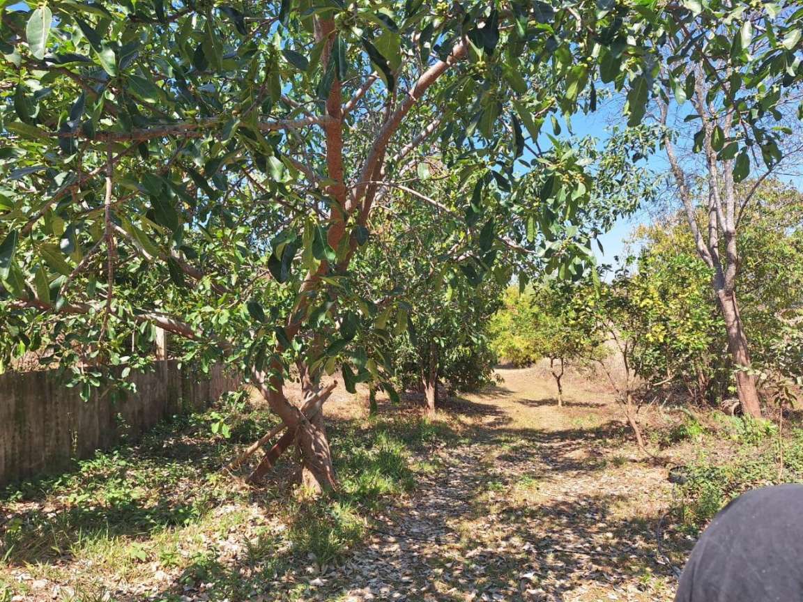 Fazenda, 11 hectares - Foto 11