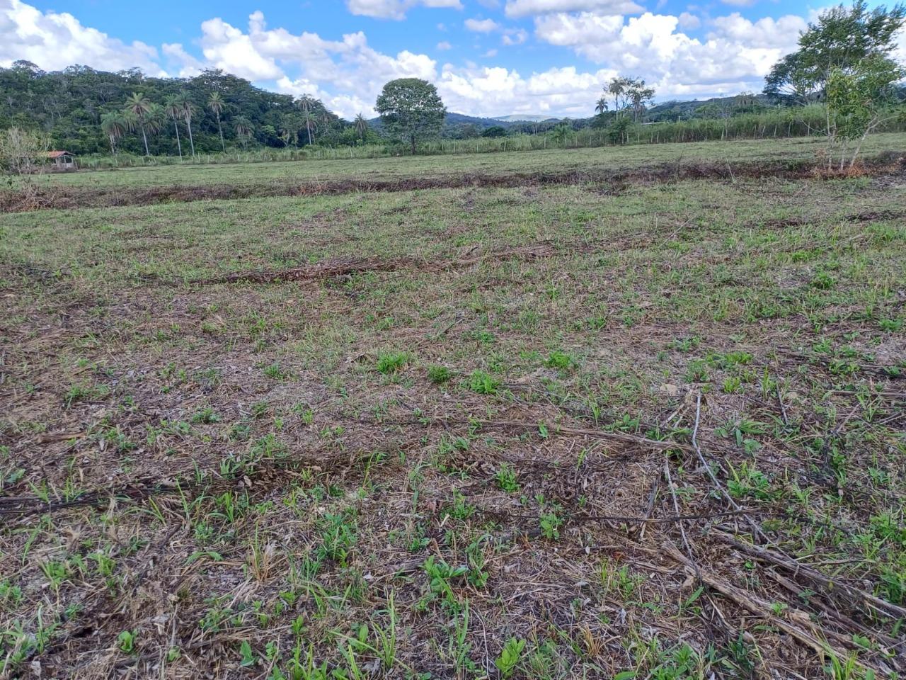 Fazenda, 2 hectares - Foto 11