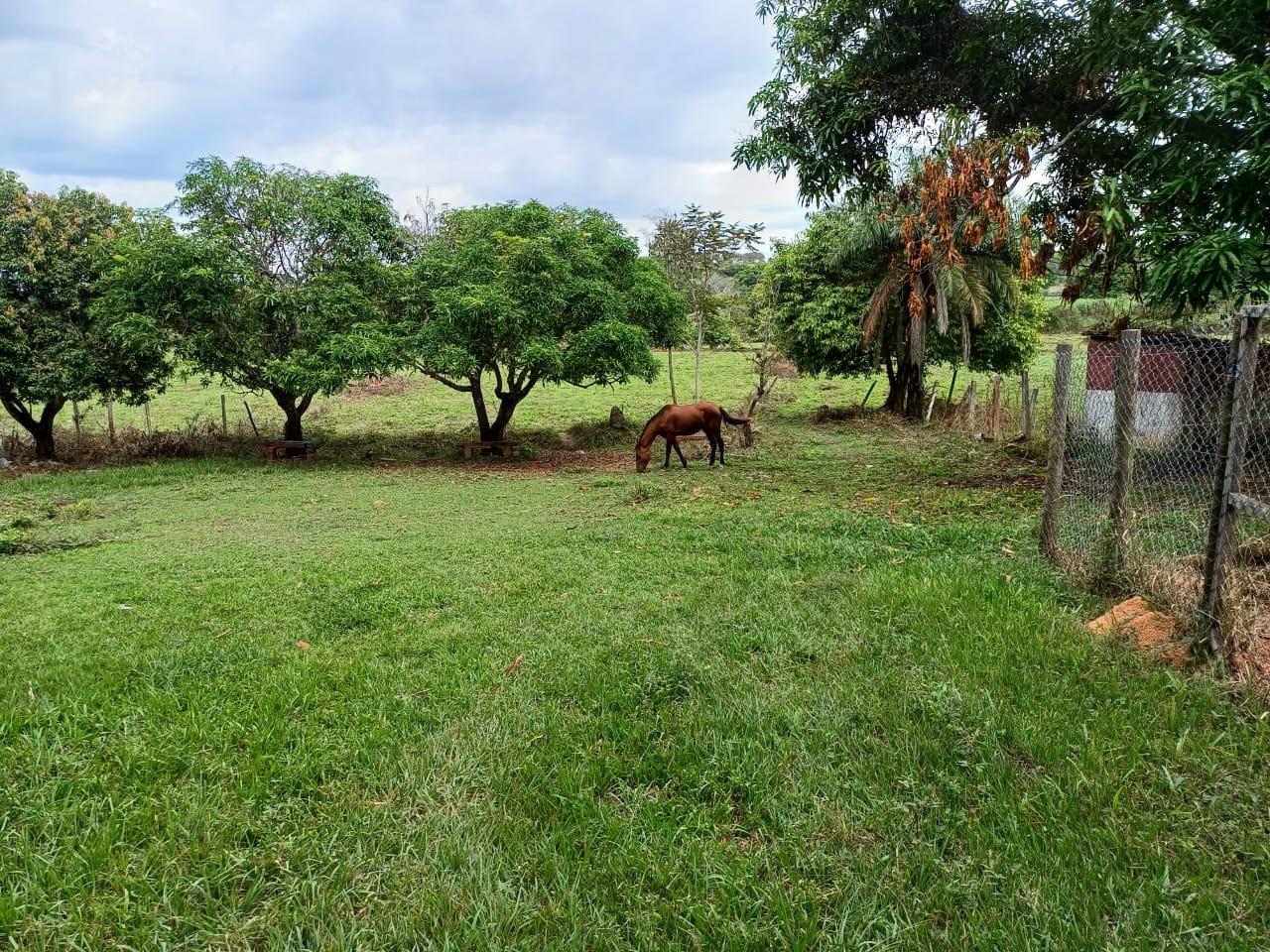 Fazenda, 2 hectares - Foto 1