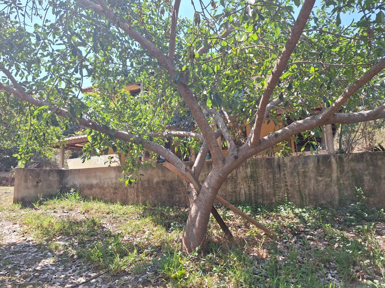 Fazenda, 11 hectares - Foto 13