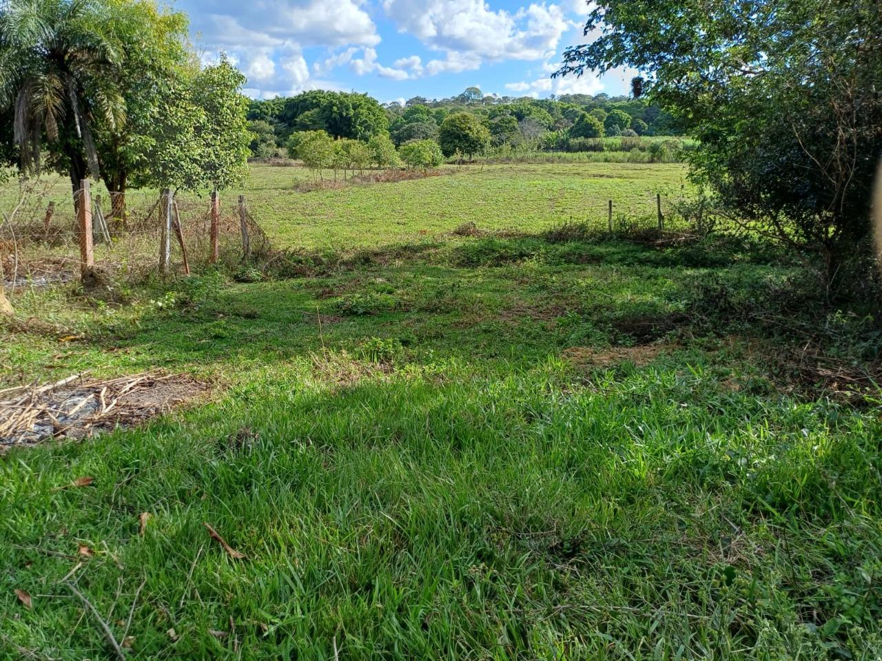 Fazenda, 2 hectares - Foto 16