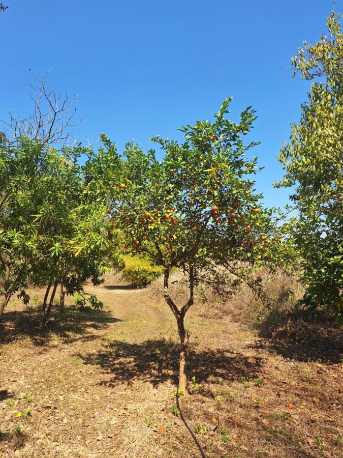 Fazenda, 11 hectares - Foto 23