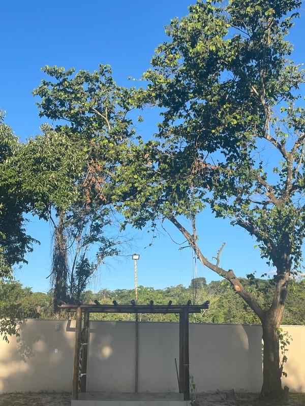 Fazenda, 2600 m² - Foto 31