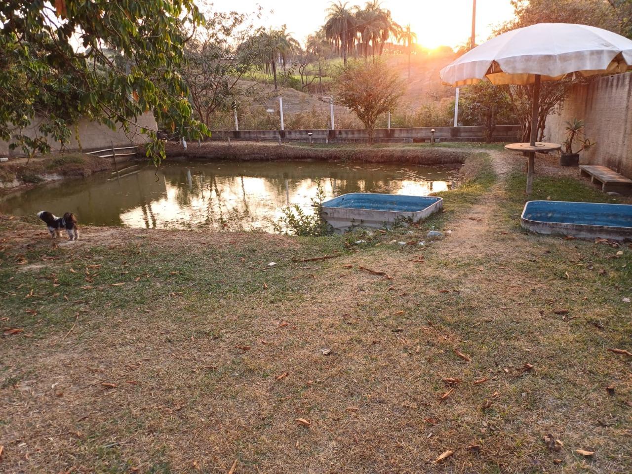 Chácara, 4 quartos, 1000 m² - Foto 4