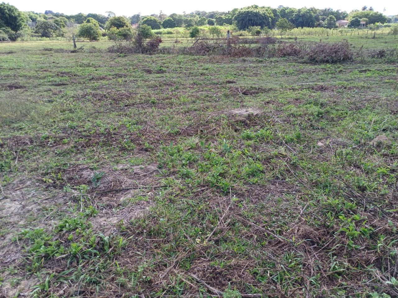 Fazenda, 2 hectares - Foto 5