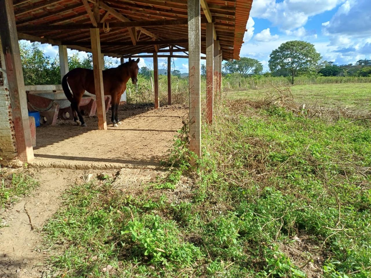 Fazenda, 2 hectares - Foto 6