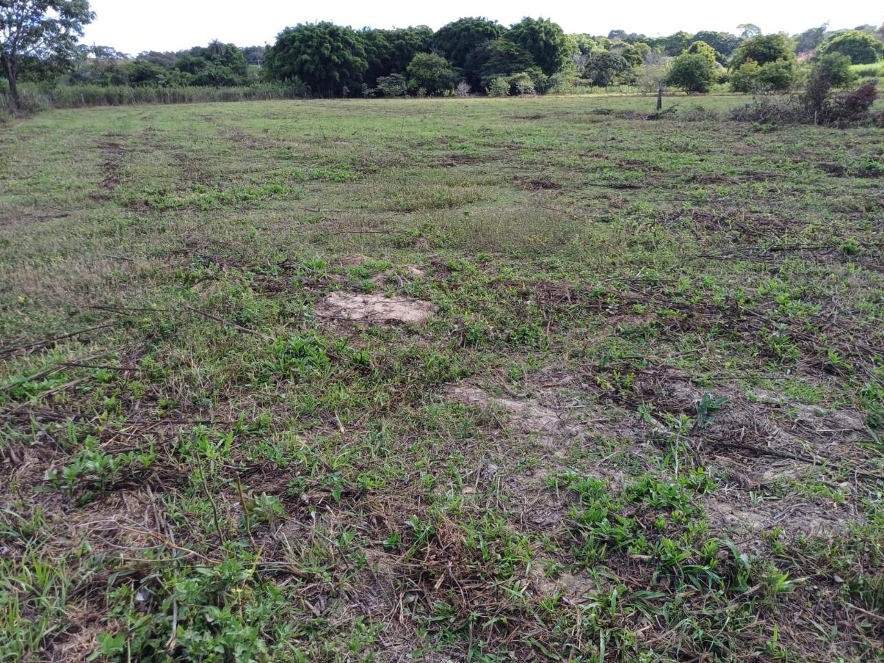 Fazenda, 2 hectares - Foto 7