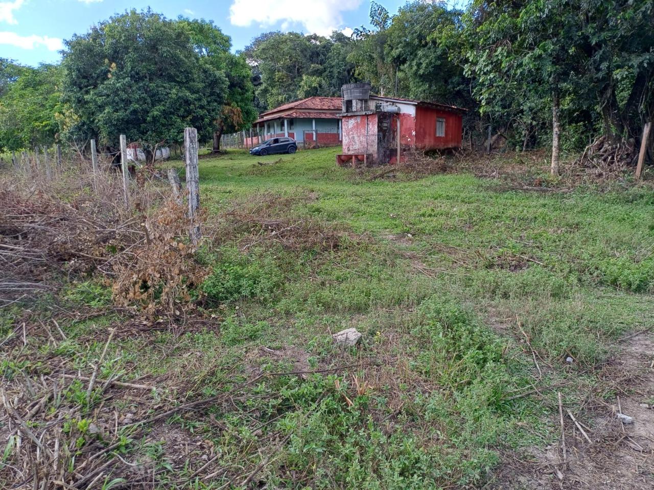 Fazenda, 2 hectares - Foto 8